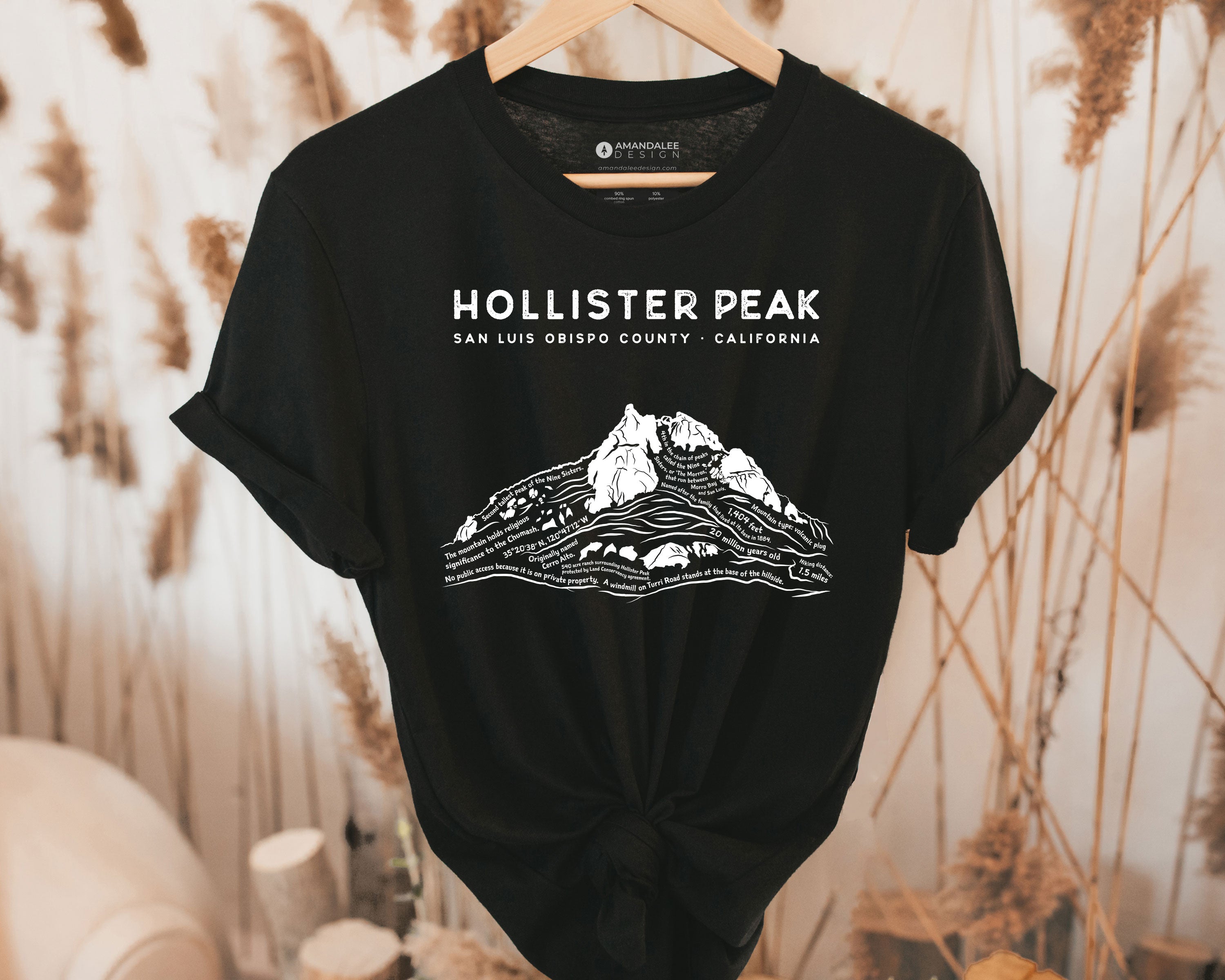 Hollister Peak Short-Sleeve Unisex Triblend Shirt – Amandalee Design