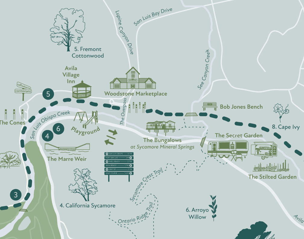 Bob Jones Trail Map