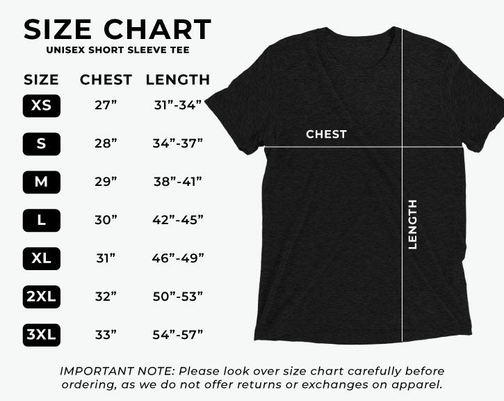 Hollister shirt size sale