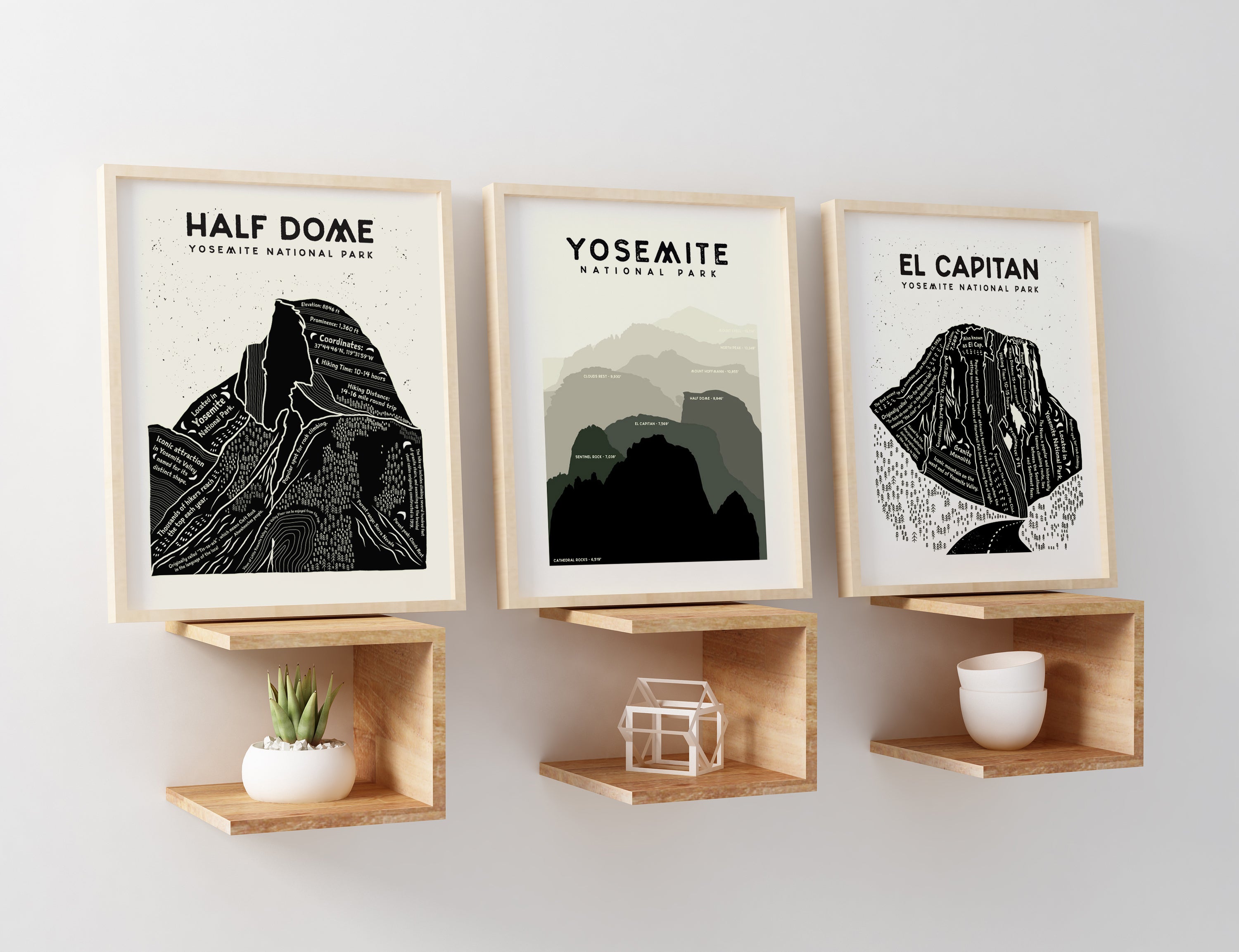 The Yosemite Collection