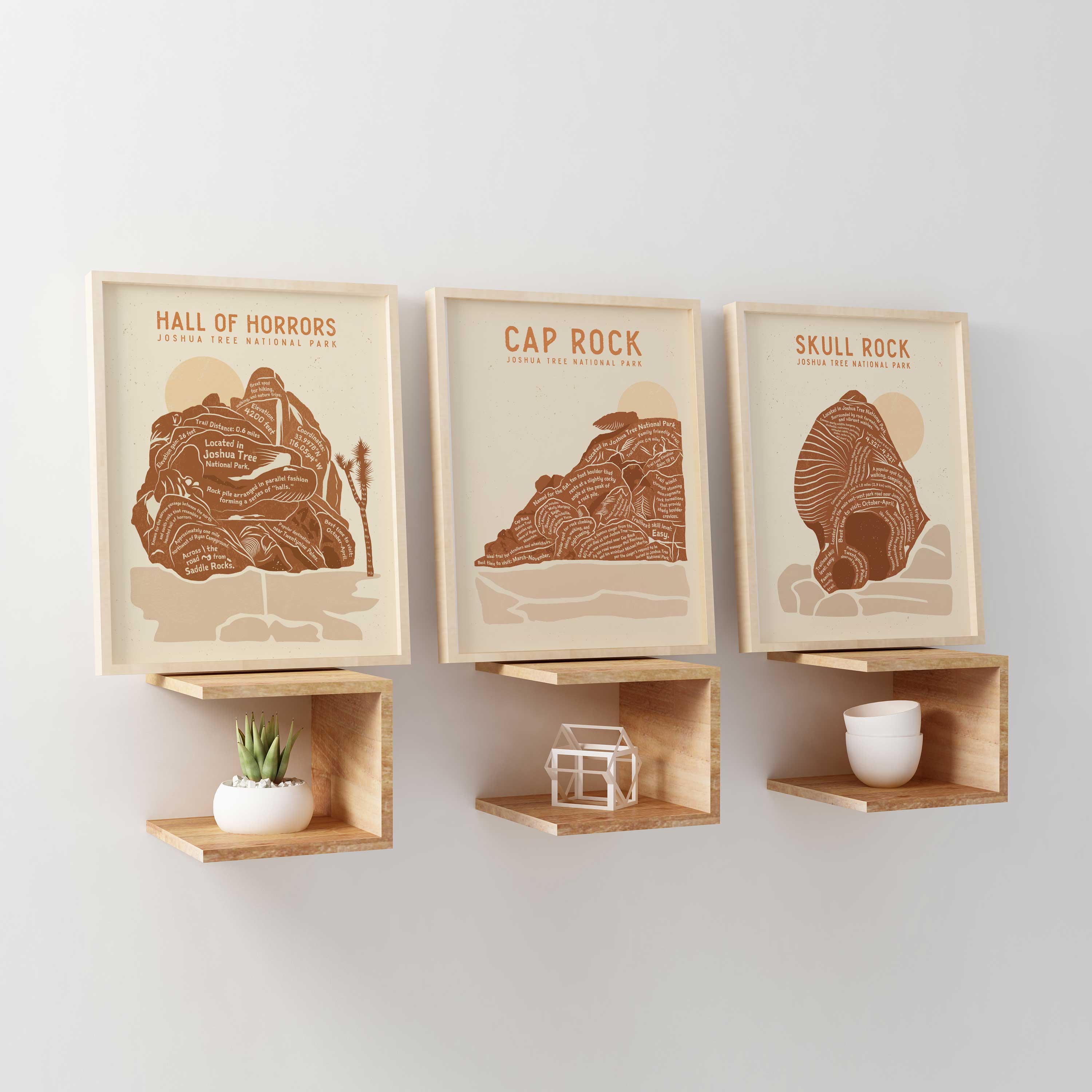The Joshua Tree Collection