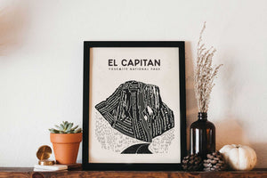 The Yosemite Collection