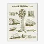 Load image into Gallery viewer, Sequoia National Park Art Print
