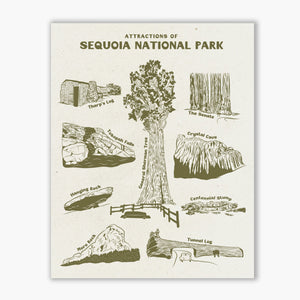 Sequoia National Park Art Print