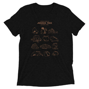 Rocks of Joshua Tree Short Sleeve Unisex Triblend Shirt